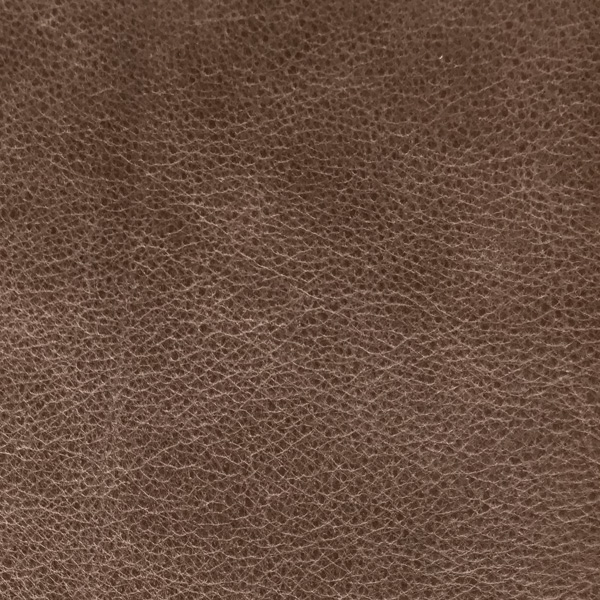 Textur, 