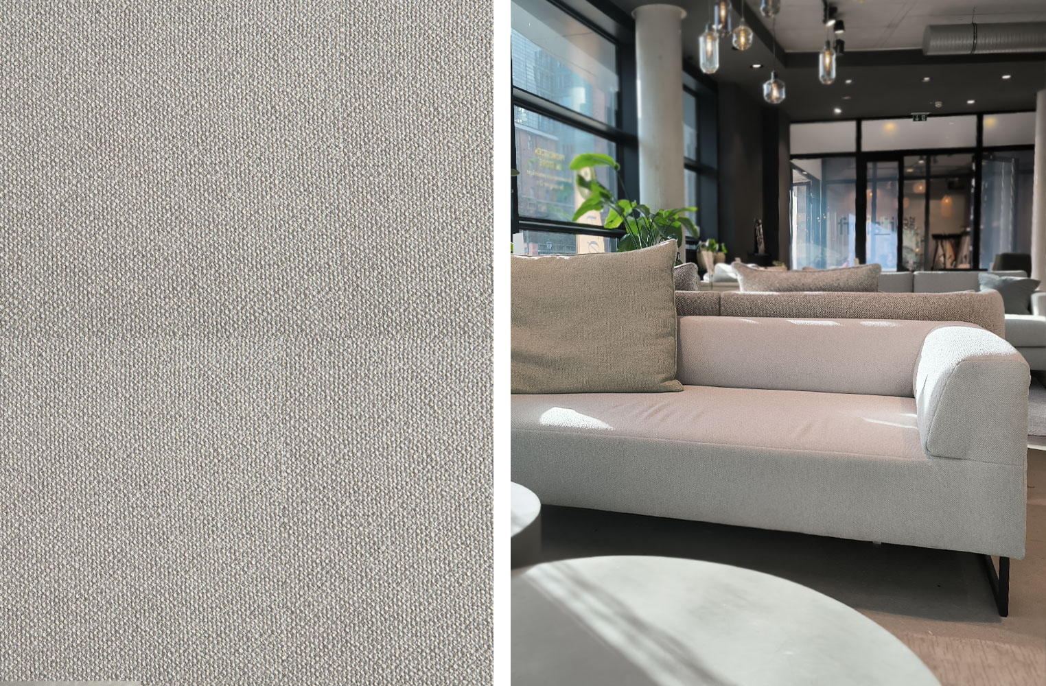 Innenarchitektur, Inneneinrichtung, Wohnzimmer, Couch, Teppich, 