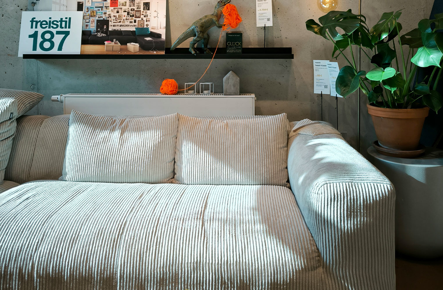 Couch, Kissen, Dekoration für Zuhause, Pflanze, Wohnzimmer, 